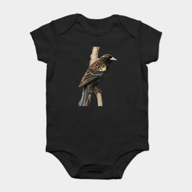 Red Winged Blackbird without background in image-choose red to display on store front Baby Bodysuit by BirdsnStuff